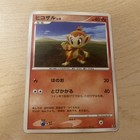 Chimchar 