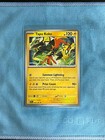 Tapu Koko