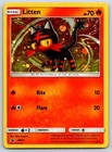 Litten