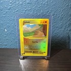 Swinub