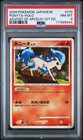 Ponyta