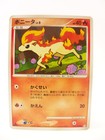 Ponyta