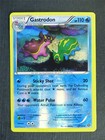 Gastrodon