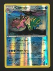 Gastrodon