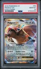 Pidgeot EX