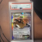 Pidgeot EX