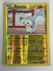 Pachirisu