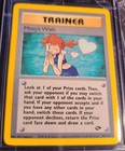 Misty's Wish
