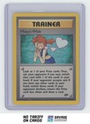 Misty's Wish