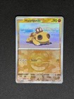 Hippopotas