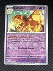 Dachsbun