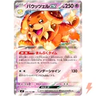 Dachsbun ex