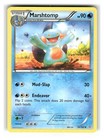 Marshtomp