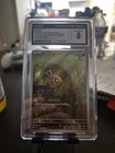 Pokemon Card Fan 