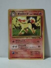 Rapidash