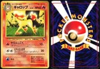 Rapidash