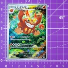 N's Darmanitan