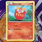 Darumaka