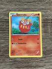 Darumaka