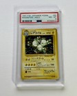 Magneton