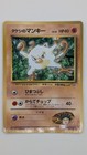 Brock's Mankey