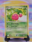 Cherubi