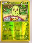 Chikorita