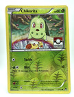 Chikorita