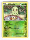 Chikorita