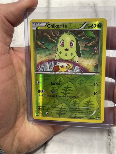 Chikorita