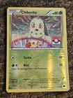 Chikorita