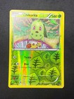 Chikorita