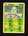 Chikorita