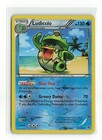 Ludicolo