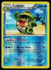 Ludicolo