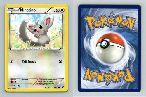 Minccino