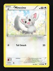 Minccino