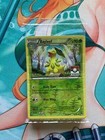 Bayleef