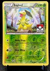 Bayleef