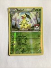 Bayleef