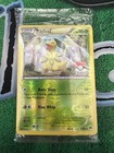 Bayleef