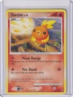 Torchic