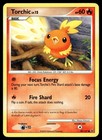 Torchic