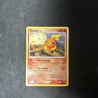 Torchic