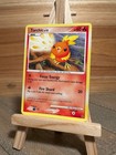Torchic