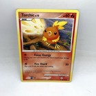 Torchic