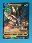 Zamazenta V