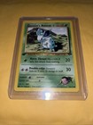 Giovanni's Nidoran