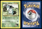 Giovanni's Nidoran
