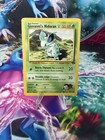 Giovanni's Nidoran